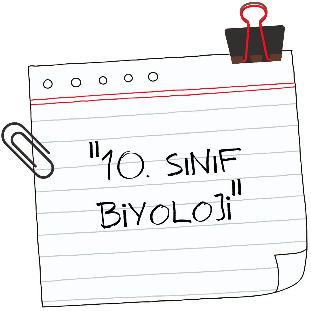 10. sınıf biyoloji.png