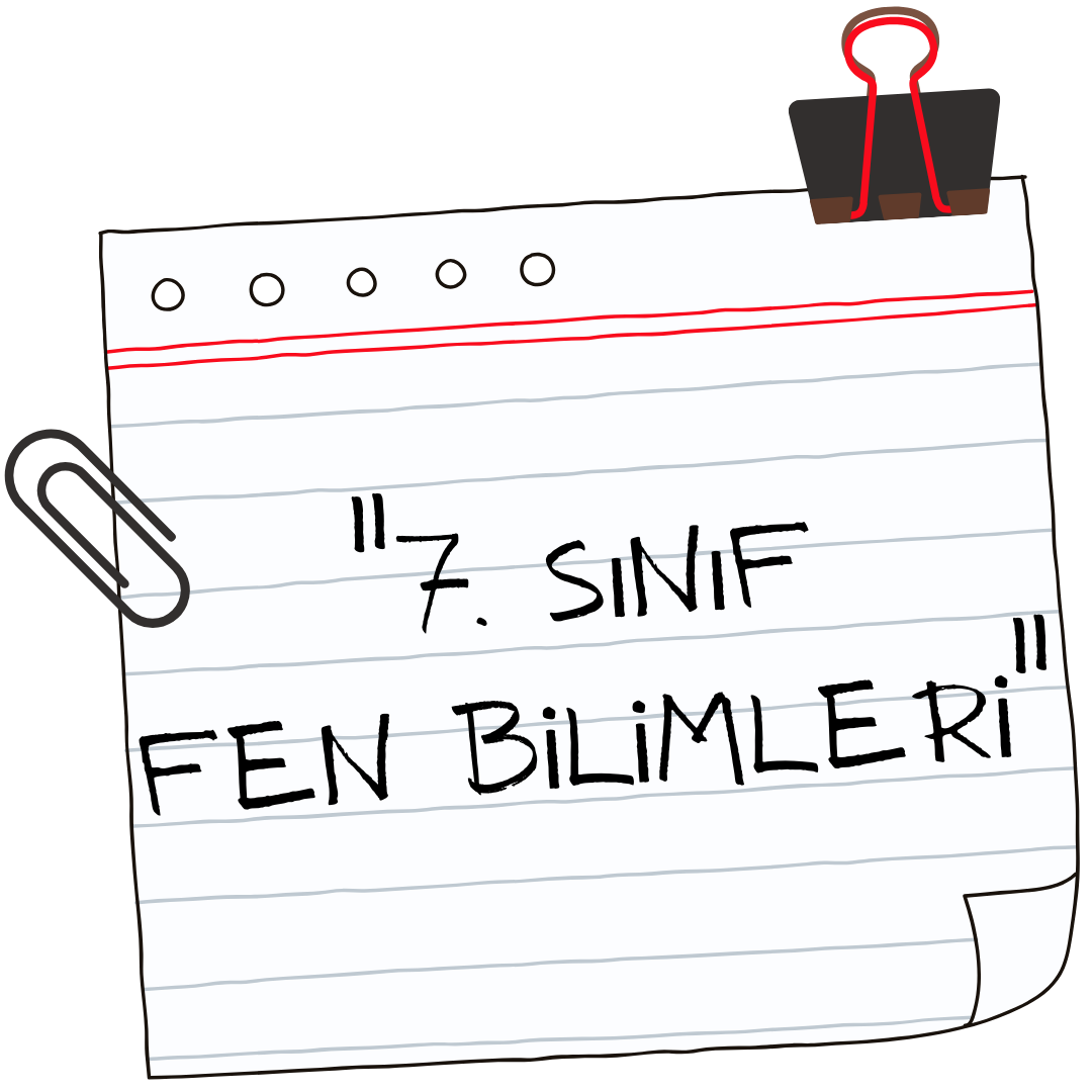 7. sınıf fen bilimleri.png