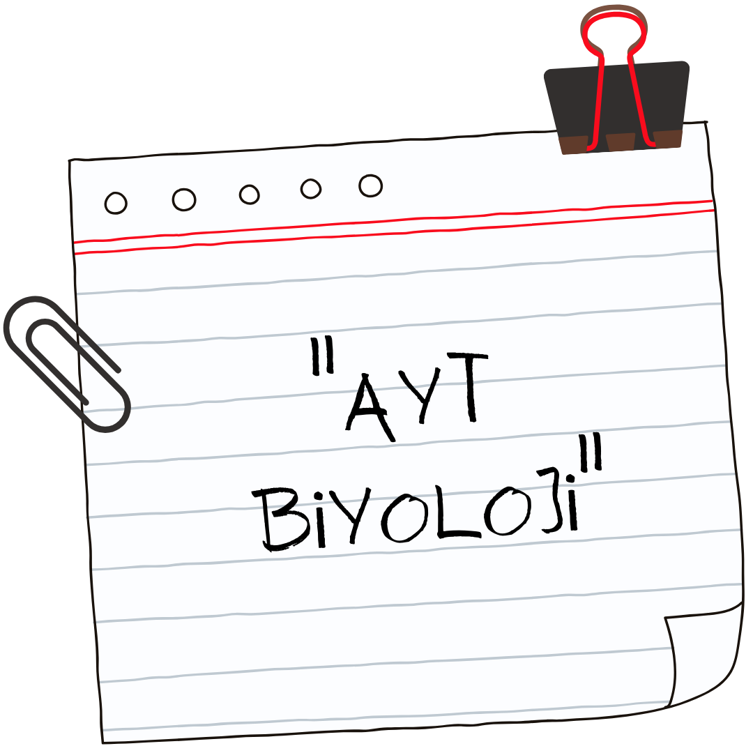 AYT biyoloji.png